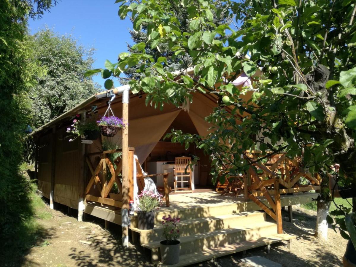 Willa Panorama Spa Ustron Exterior photo